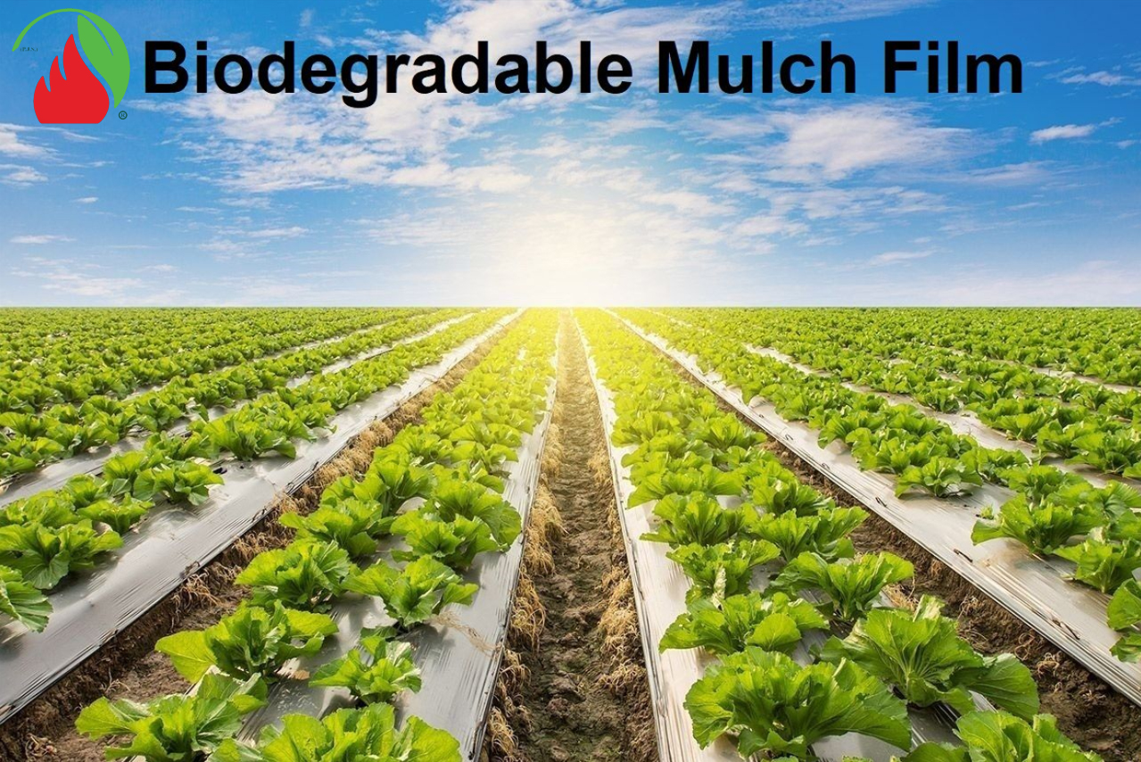 The biodegradable mulch films industry